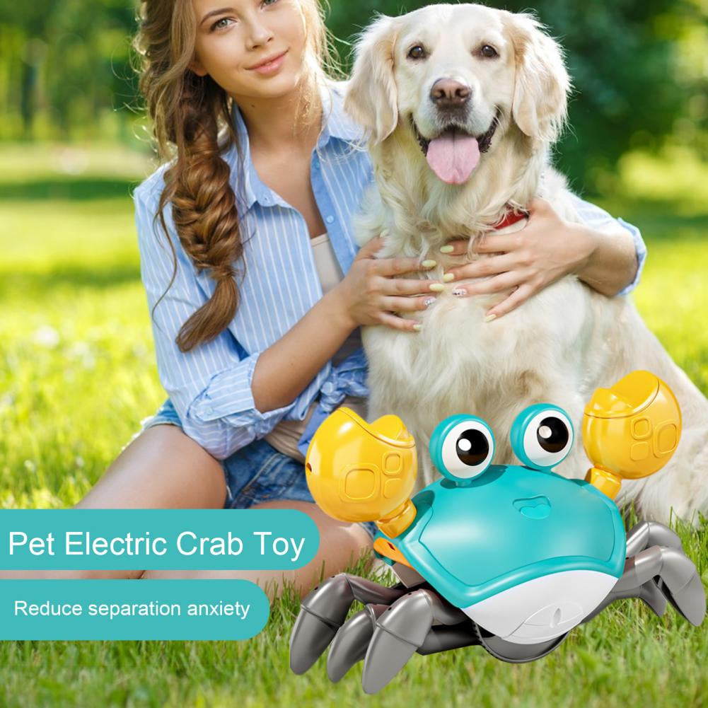 Dog/ Cat  Entertainment Toy  Crawling Crab Toy Fun Music Lights Sensor Escape Educational Multifunctional 
