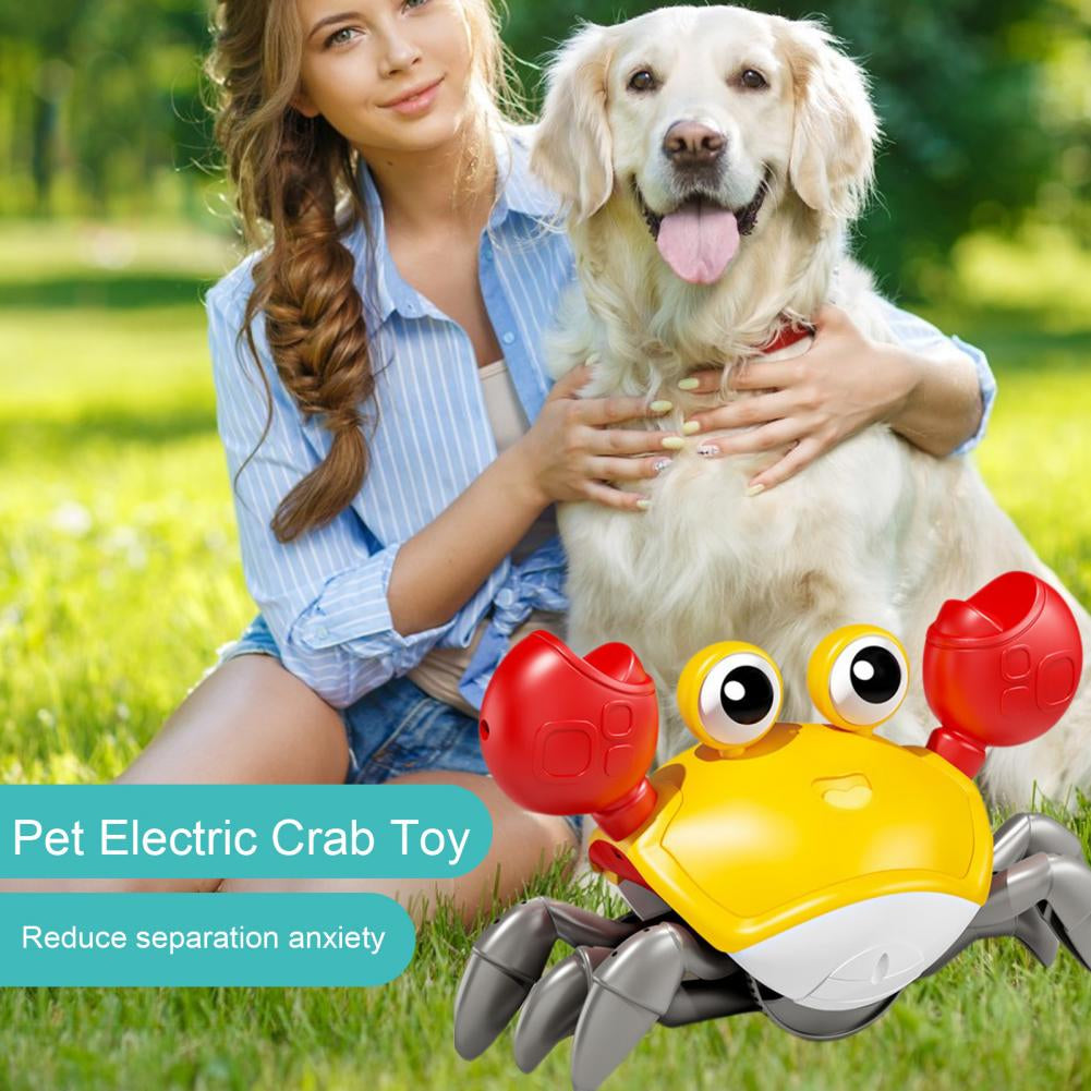 Dog/ Cat  Entertainment Toy  Crawling Crab Toy Fun Music Lights Sensor Escape Educational Multifunctional 